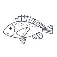 Single fish with beautiful fins doodle style vector