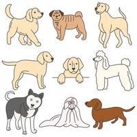 Set dog colored doodle style vector