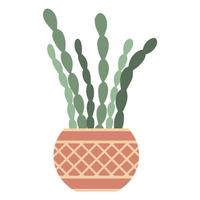 Indoor Decembrist flower in pot isolated vector illustration