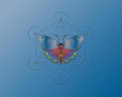 mariposa sobre el cubo de metatrones, flor de la vida. geometría sagrada. icono místico sólidos platónicos merkabah, diseño de degradado colorido geométrico abstracto, signo de círculos de cultivo. logotipo gráfico aislado en el cielo azul vector