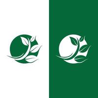 logotipos de la ecología de la hoja del árbol verde vector