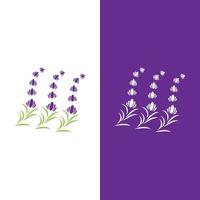 Fresh Lavender flower logo vector