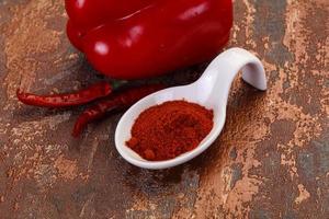 Paprika powder in the bowl photo