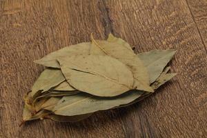 Dry laurel leaves photo