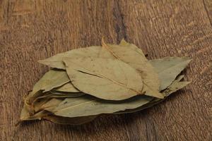 Dry laurel leaves photo