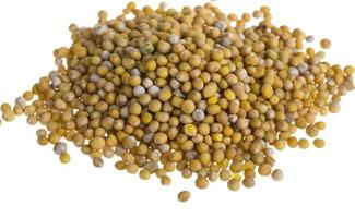 yellow mustard seeds photo