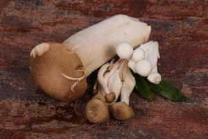 Raw Asian mushroom - ready for cooking photo