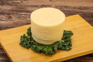 Yellow round dairy soft cheese photo