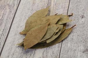 Dry laurel leaves photo