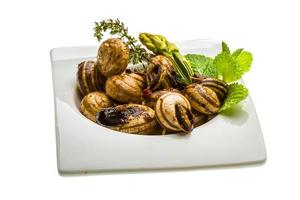 Escargot with asparagus, rosemary, thymus and tomato photo