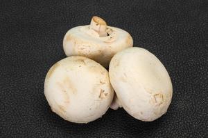 Raw Champignon heap for cooking photo