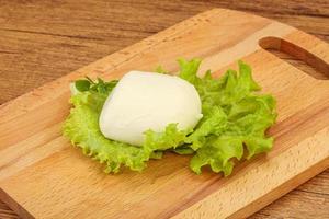 Italian Mozzarella cheese over board photo