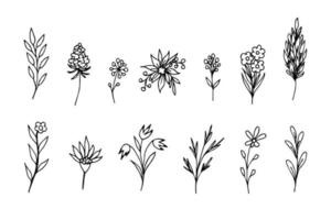 Simple vector freehand set of black outline. The contour of delicate flowers, twigs, leaves, bouquets, field grass in a rustic style on a white background. Elements of nature, plants for decoration.