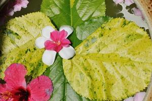 water cup with beautiful flowers background photo