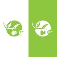 olive icon vector illustration design