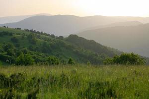 landscape nature summer photo