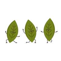 Tea leaves character. tea leaves on white background. wallpaper. Matcha character design. vector