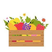 Wooden box full of fruits. Grocery store. Cartoons style vector. Delivery of products from store. Healthy organic natural food. Modern flat cute vector illustration. Farm market, harvest