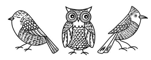 Vector set with cute Birds in doodle style. Hand drawn illustration with Owl and Sparrow. Black line on white isolated background. Drawing for icon or logo