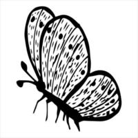 ilustraciones vectoriales de insectos, mariposas y flores. vector