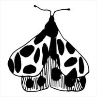 ilustraciones vectoriales de insectos, mariposas y flores. vector