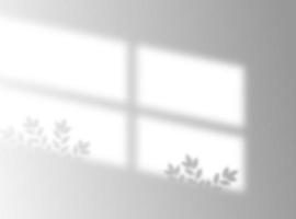 Shadow overlay effect. Transparent overlay shadow from the window, vector illustration