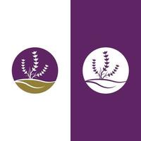 vector de logotipo de flor de lavanda fresca