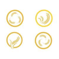 Wheat logo vector icon illustration