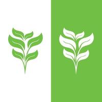 Logos of green Tree leaf ecology vector