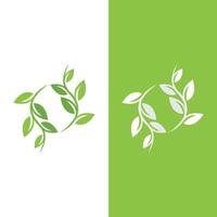 logotipos de la ecología de la hoja del árbol verde vector