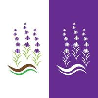 vector de logotipo de flor de lavanda fresca