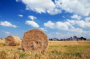 Haystacks in the field photo