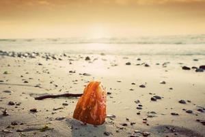 piedra ámbar en la playa. joya preciosa, tesoro. mar Báltico foto