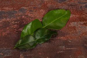 Kafir lime leaves - addition for Asian cuisine photo