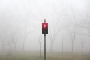 Trafic lights in the foggy winter day