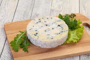 Round blue cheese photo