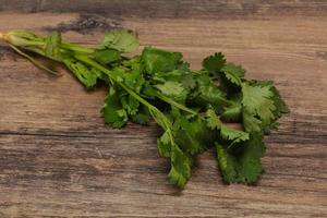 Fresh ripe  Green cilantro leaves photo