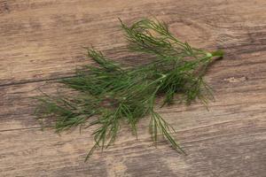 Fresh green dill herb branch photo