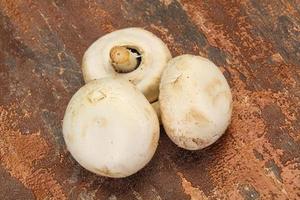 Raw Champignon heap for cooking photo