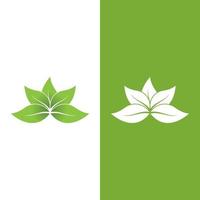 logotipos de la ecología de la hoja del árbol verde vector