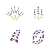 vector de logotipo de flor de lavanda fresca