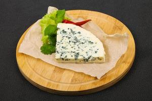 Blue cheese slice photo