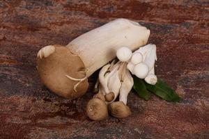 Raw Asian mushroom - ready for cooking photo