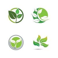 logotipos de la ecología de la hoja del árbol verde vector