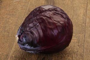 Red bright cabbage photo