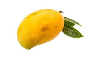 mango amarillo brillante foto