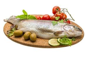 Fresh raw rainbow trout photo