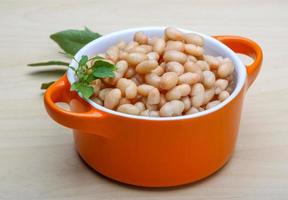 White canned beans photo