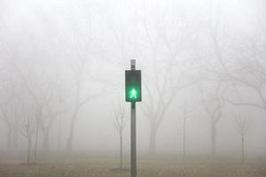 Trafic lights in the foggy winter day photo