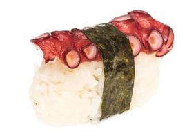 Japanese sushi with meat octopus on a white background photo